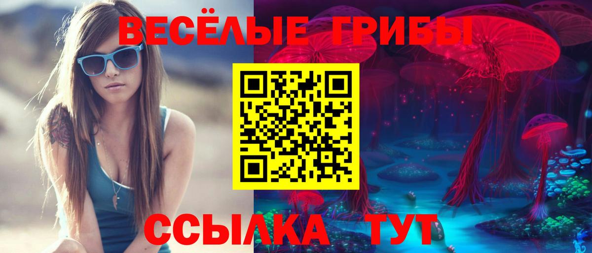 Псилоцибиновые грибы мухоморы  Галлюциногенные грибы мухоморы  Вход с VPN  Елец 